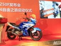 2015 Suzuki GW250F Revealed For China