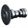 GY6-125 Motorcycle Camshaft