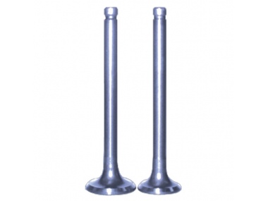 Motorcycle Valve