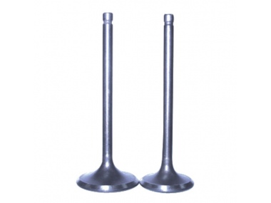 Motorcycle Valve