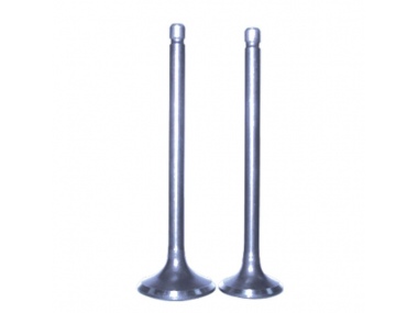 Motorcycle Valve