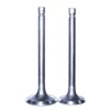 XV-125 Motorcycle Valve