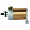 M6017 motorcycle motor, starter motor