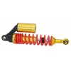 RJ-3009 Motorcycle Shock Absorber With Gasbag