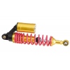 RJ-3017 Motorcycle Shock Absorber With Gasbag