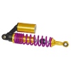 RJ-3021 Motorcycle Shock Absorber With Gasbag