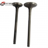 KTE Inlet and Exhaust Valve Set, motorcycle valve