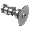 DBT-070 CH125 motorcycle camshaft