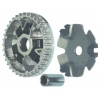 DBT-106 WH-100 motorcycle clutch