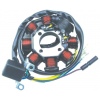 DBT-144 ZJ125 motorcycle magneto coil - 8 pole