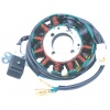 DBT-147 CG150 motorcycle magneto coil - 11 pole